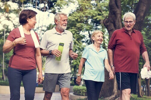 A group of healthy seniors workout to prevent a stroke