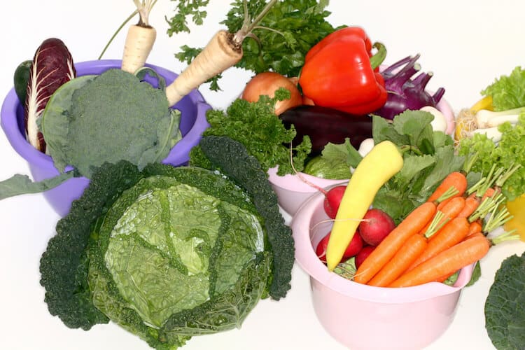 A selection of healthy fruits and vegetables for seniors.